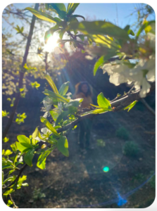 Theta Healing Reviews help you understand what you can reach for with the Theta Healing Technique